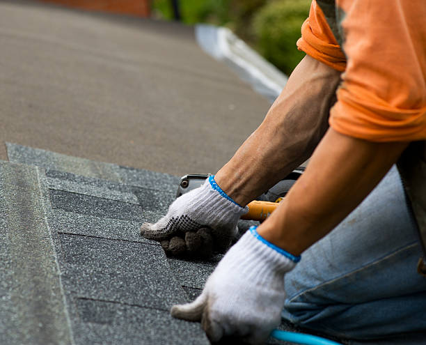 Roof Gutter Cleaning in Clifton Springs, NY